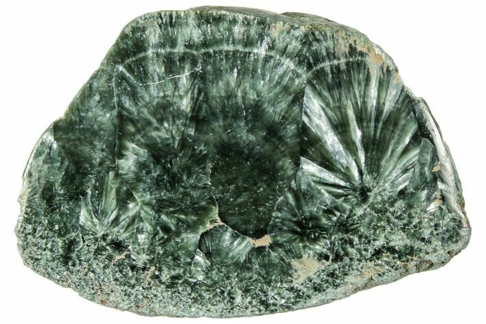 Polished Seraphinite Section - Korshunovkiy Mine, Siberia #314958